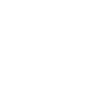 step-icon