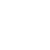 step-icon