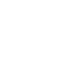 step-icon